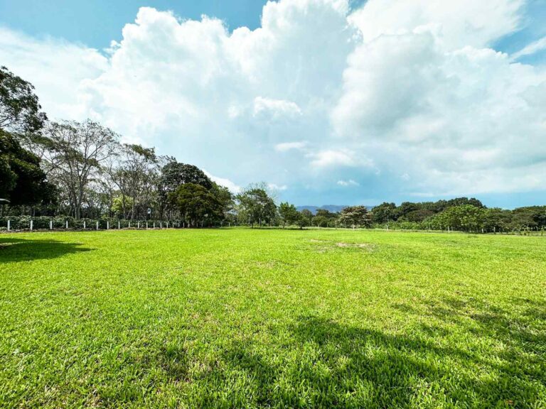 atenas-alajuela-fau-4
