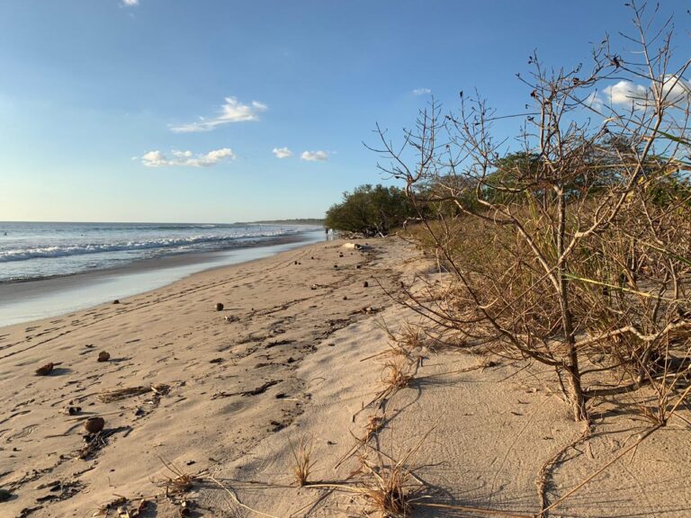 lotes-en-playa-avellanas-3