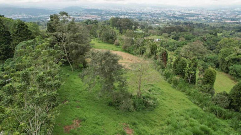 san-rafael-montes-de-oca-ad-11