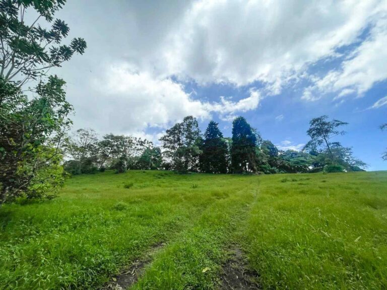 san-rafael-montes-de-oca-ad-13