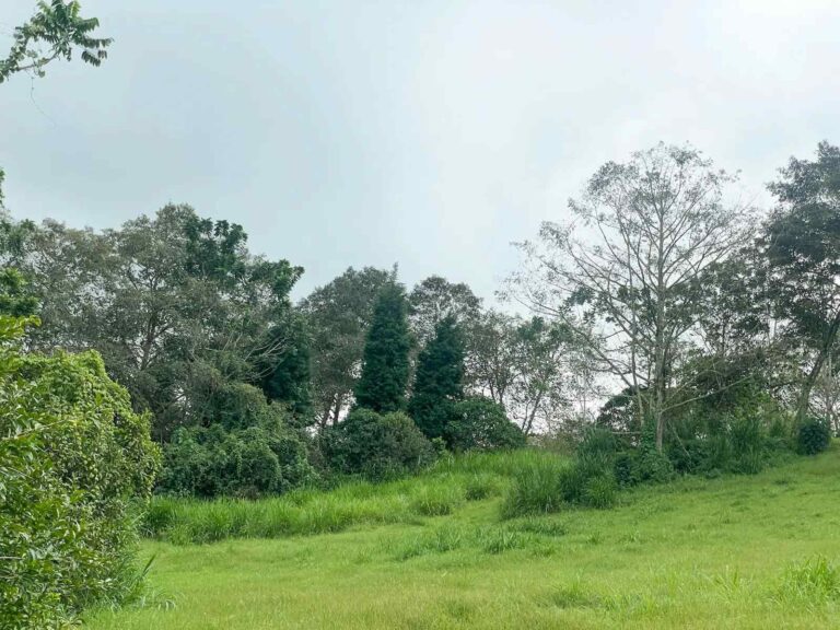 san-rafael-montes-de-oca-ad-14
