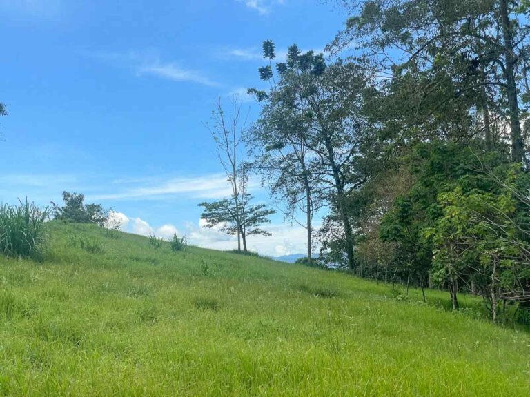 san-rafael-montes-de-oca-ad-15