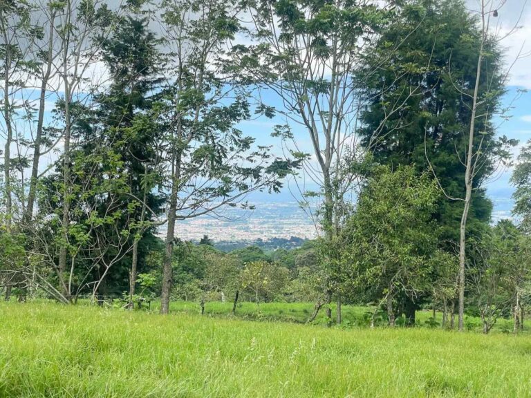 san-rafael-montes-de-oca-ad-16