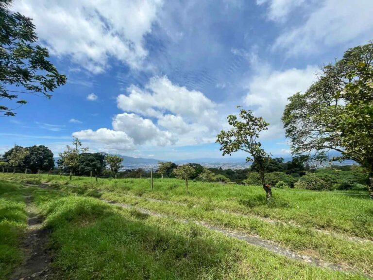 san-rafael-montes-de-oca-ad-17