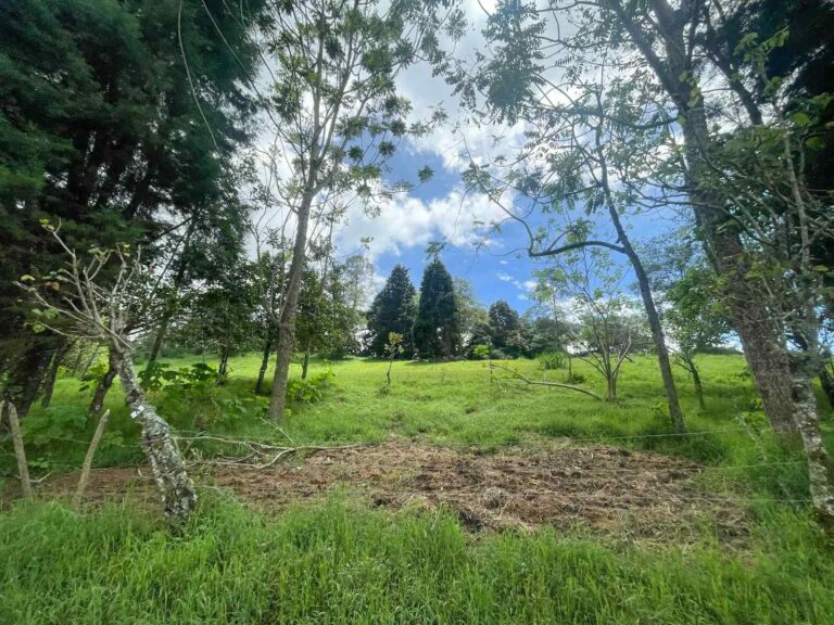 san-rafael-montes-de-oca-ad-18