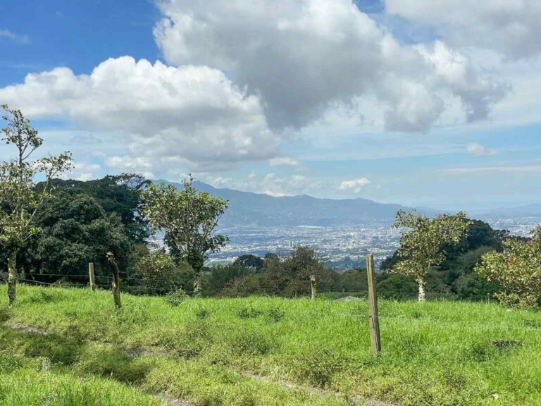 san-rafael-montes-de-oca-ad-19