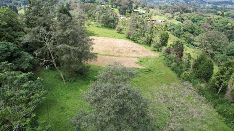san-rafael-montes-de-oca-ad-2