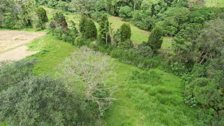 san-rafael-montes-de-oca-ad-3