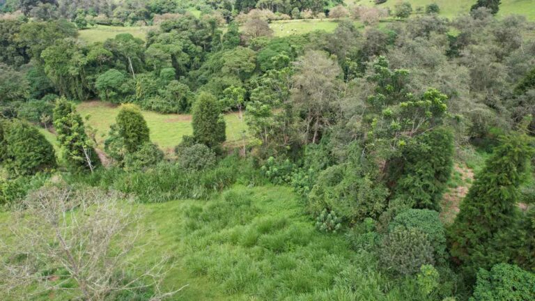 san-rafael-montes-de-oca-ad-4