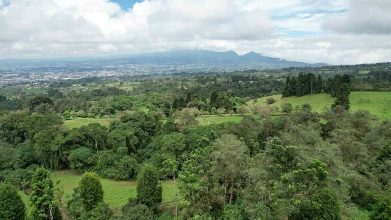 san-rafael-montes-de-oca-ad-5