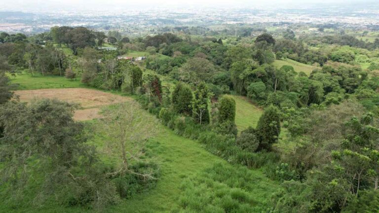 san-rafael-montes-de-oca-ad-7