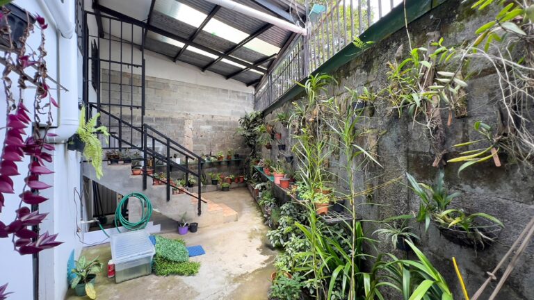 se-vende-amplia-casa-en-san-pedro-fe-11