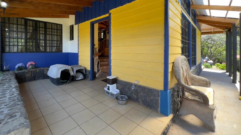 se-vende-linda-cabana-en-las-chorreras-fe-18