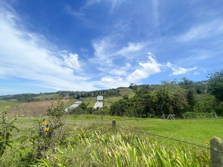se-vende-propiedad-con-vista-en-la-angelina-ad-11