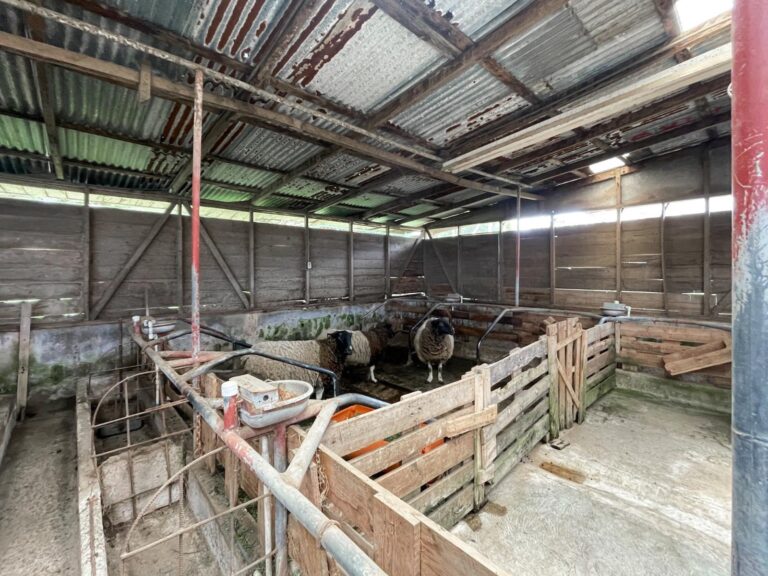 se-vende-propiedad-con-vista-en-la-angelina-ad-18