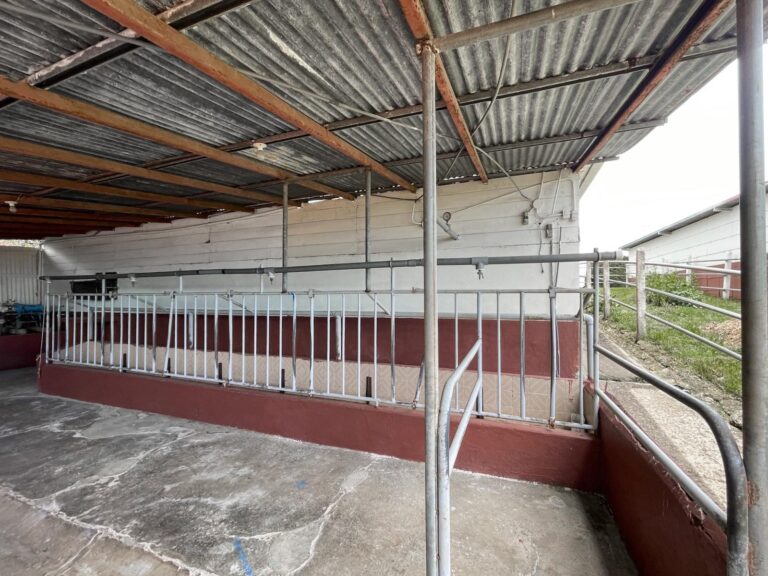 se-vende-propiedad-con-vista-en-la-angelina-ad-19