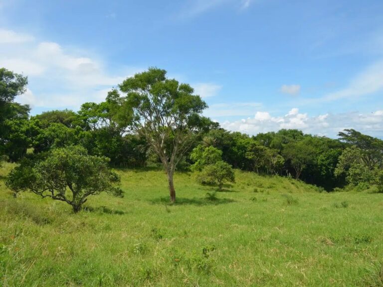 venta-de-terreno-en-tilaran-hacienda-mandela-guanacaste-3
