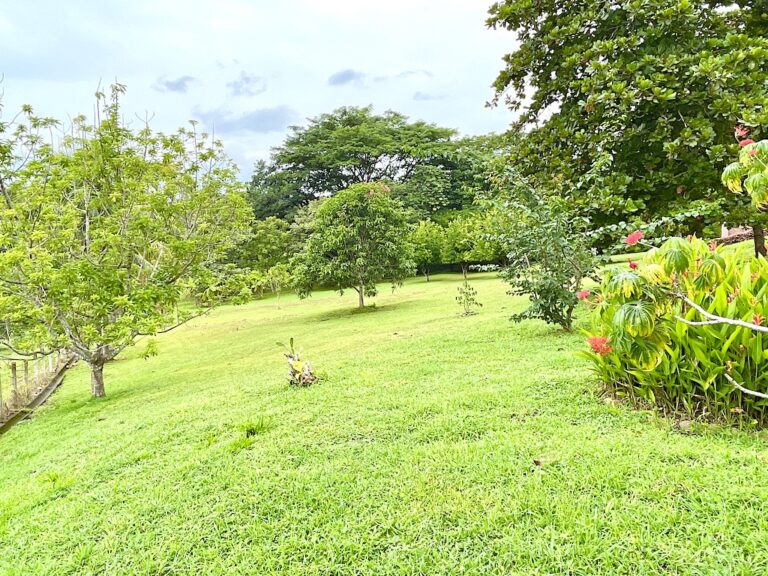 venta-todo-incluido-quintamurralf-19