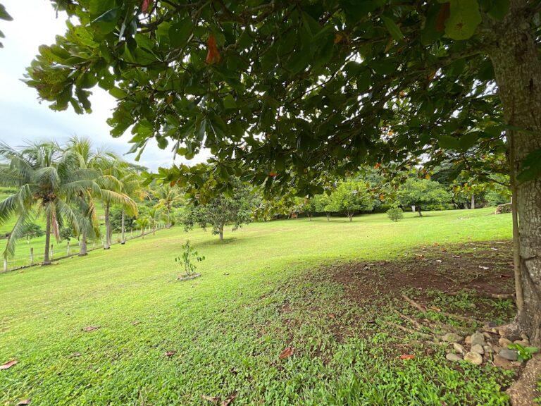 venta-todo-incluido-quintamurralf-20