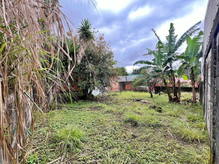 Venta-propiedad-plana-para-desarrollo-San-Francisco-Goicochea-MN-1