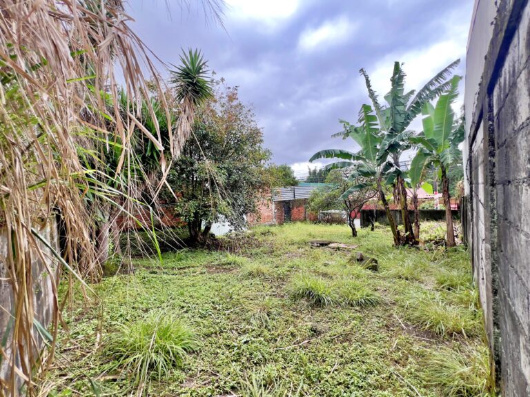 Venta-propiedad-plana-para-desarrollo-San-Francisco-Goicochea-MN-2