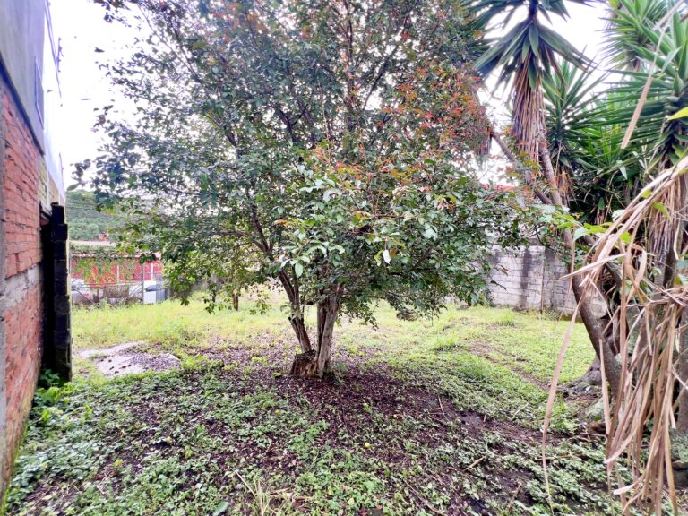 Venta-propiedad-plana-para-desarrollo-San-Francisco-Goicochea-MN-3