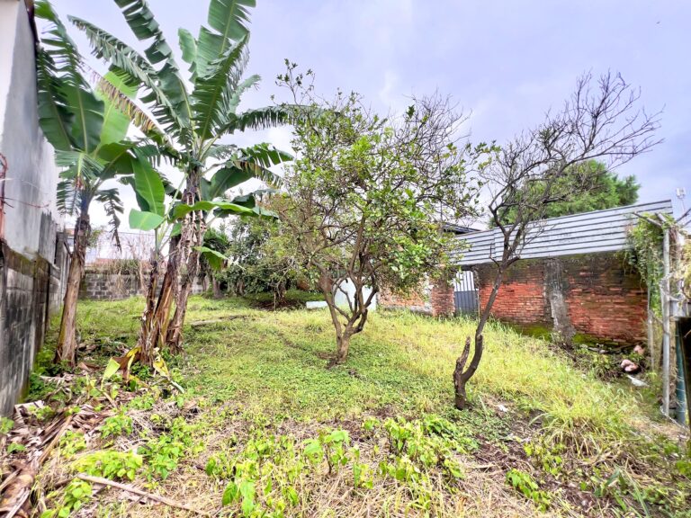 Venta-propiedad-plana-para-desarrollo-San-Francisco-Goicochea-MN-5