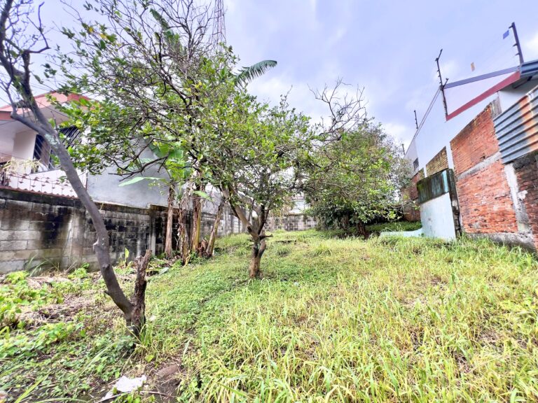 Venta-propiedad-plana-para-desarrollo-San-Francisco-Goicochea-MN-6