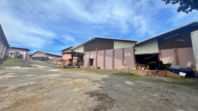 ajustadas-venta-terreno-con-bodegas-para-desarrollo-1-15
