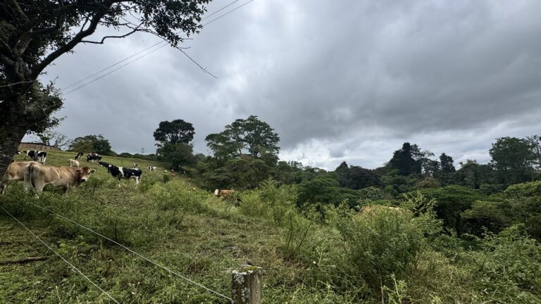 alquiler-casa-san-ramon-tres-rios-39