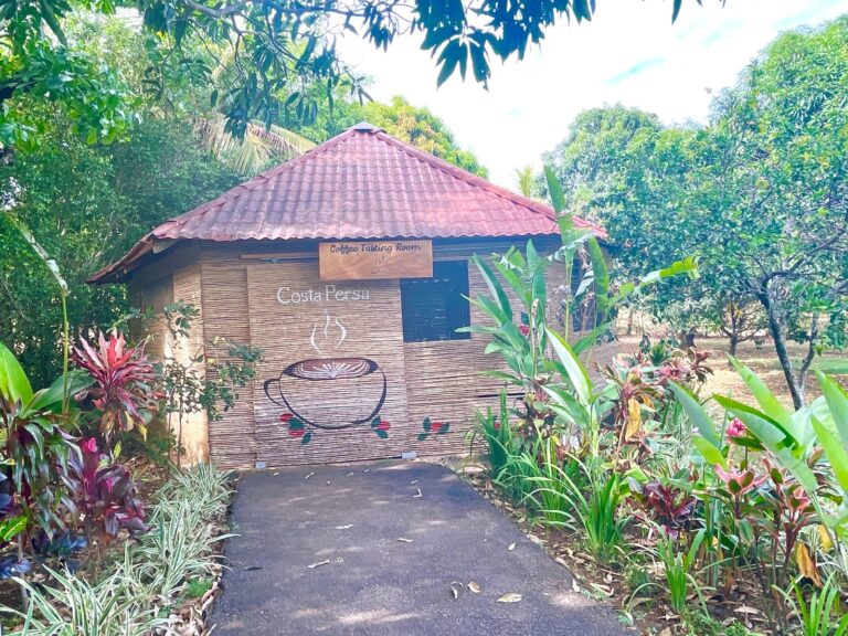 amazing-property-with-great-house-plantation-atenas-murralf-17