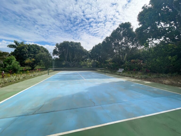 amazing-property-with-great-house-plantation-atenas-murralf-19