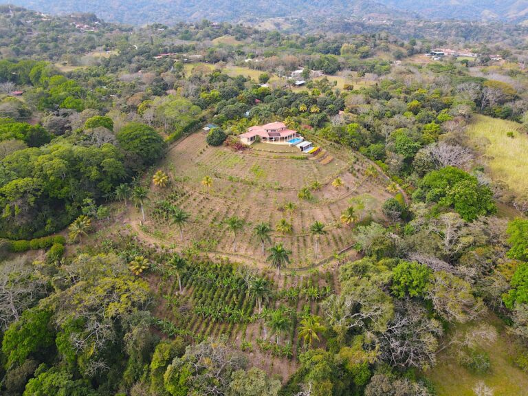 amazing-property-with-great-house-plantation-atenas-murralf-26