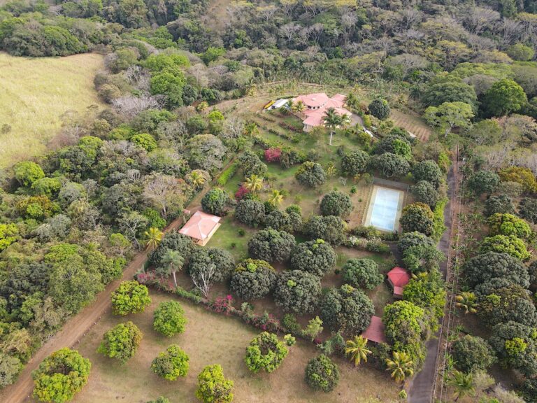amazing-property-with-great-house-plantation-atenas-murralf-33-1