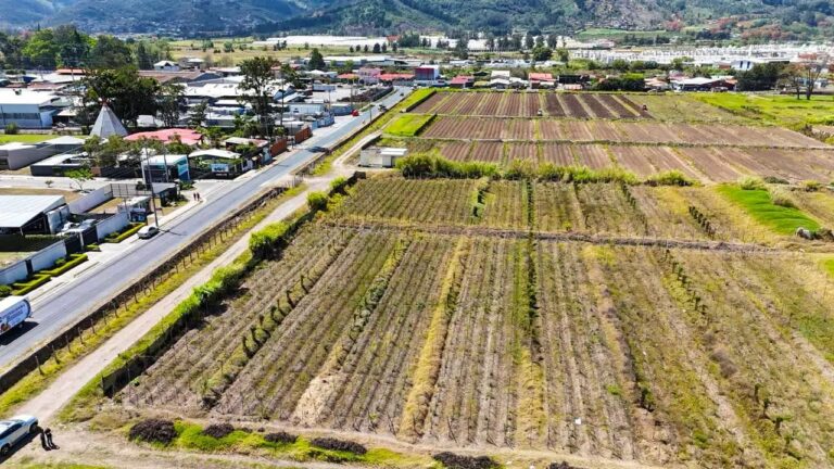 erreno-en-cartago-ic-4