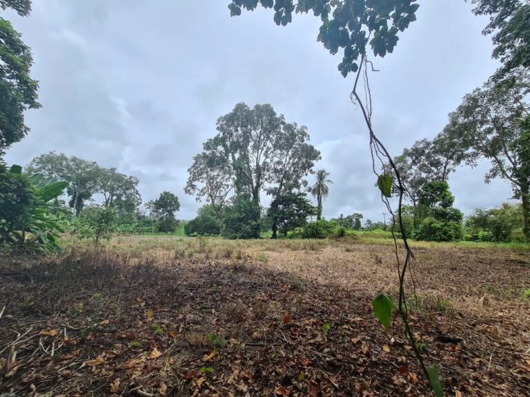 finca-en-venta-en-guapiles-fe-11