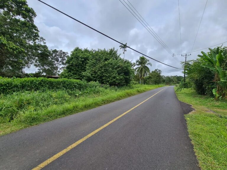 finca-en-venta-en-guapiles-fe-12