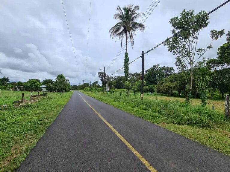 finca-en-venta-en-guapiles-fe-3