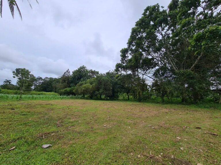 finca-en-venta-en-guapiles-fe-5