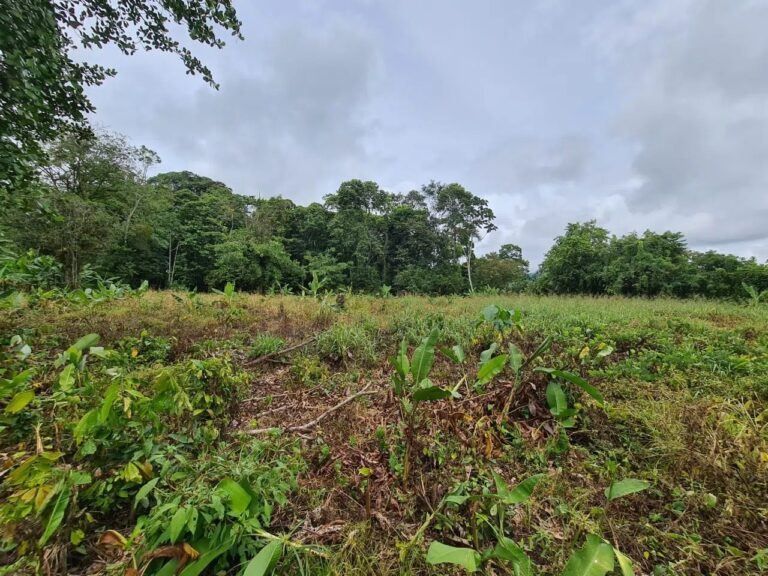 finca-en-venta-en-guapiles-fe-6