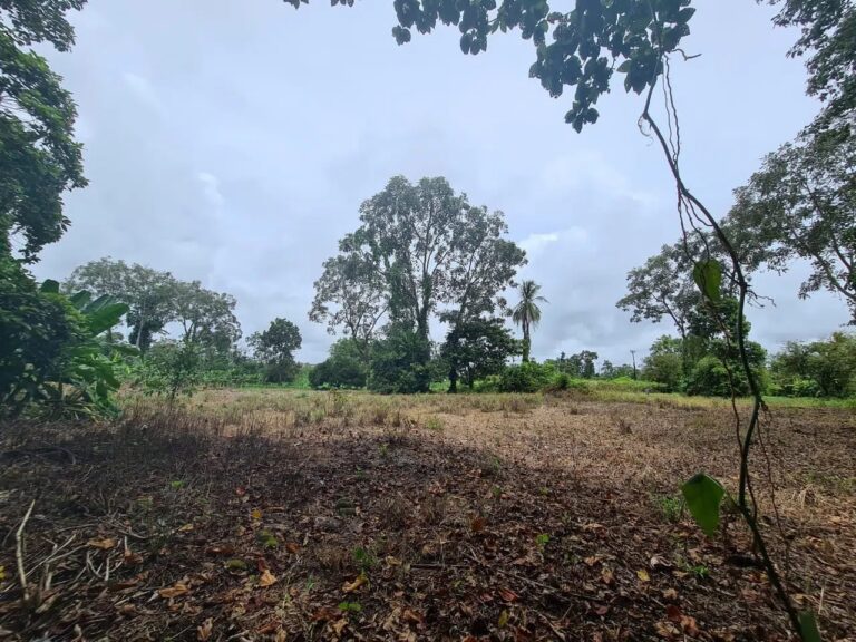 finca-en-venta-en-guapiles-fe-7
