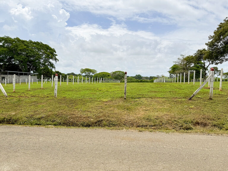foto-9-ajustada-7-3