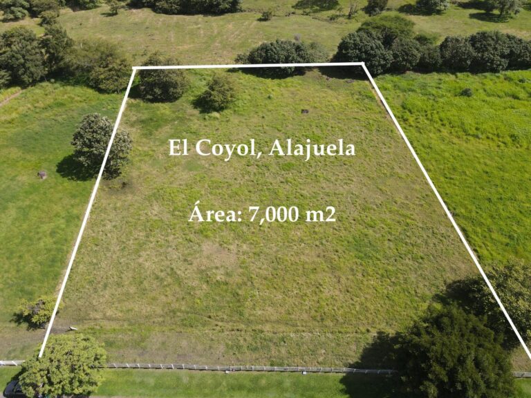franca-coyol-murralf-2