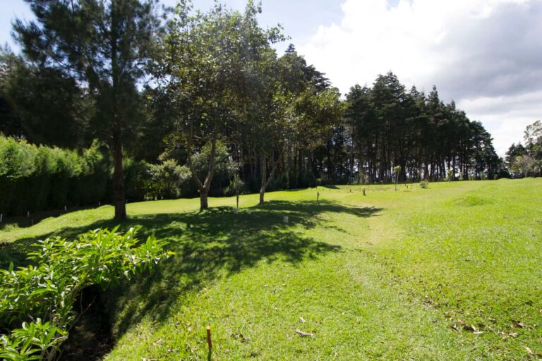 heredia-con-campo-de-golf-ad-19