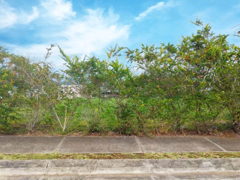la-union-cartago-ad-5