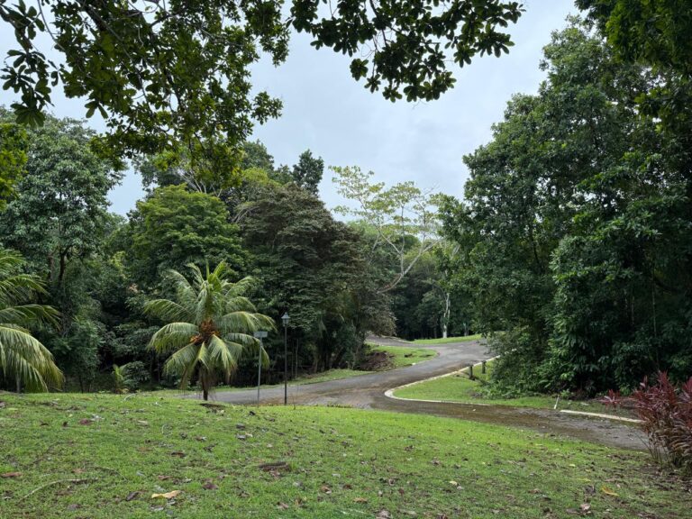 lote-condominio-costa-esterrilos-mv-1