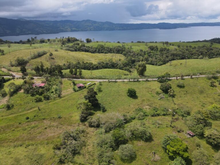 nuevo-arenal-murralf-2