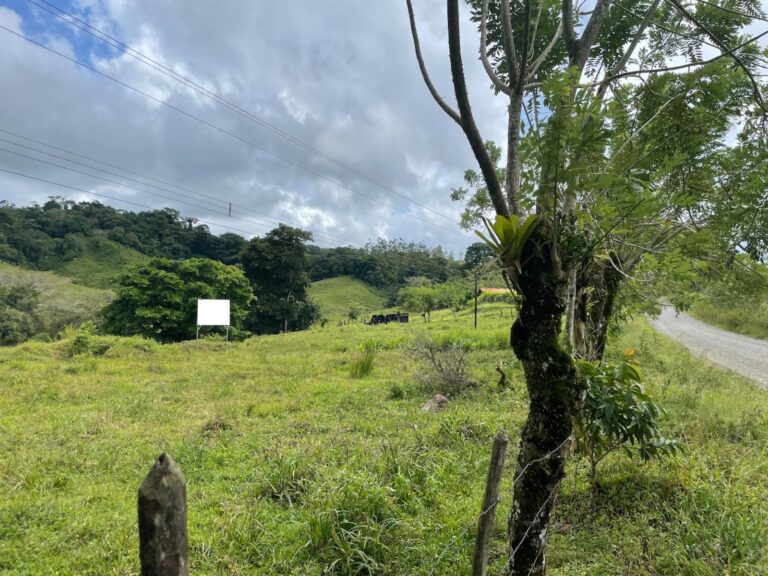 nuevo-arenal-murralf-6