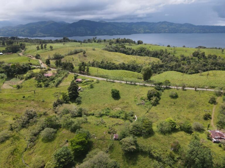 nuevo-arenal-murralf-9