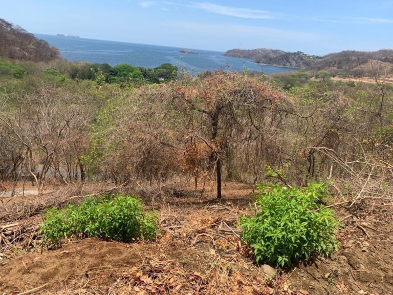 playa-potrero-guanacaste-ad-5